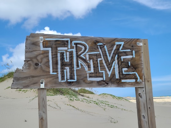 Thrive Worksheet